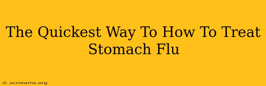 The Quickest Way To How To Treat Stomach Flu