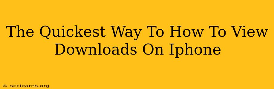 The Quickest Way To How To View Downloads On Iphone