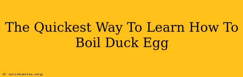 The Quickest Way To Learn How To Boil Duck Egg