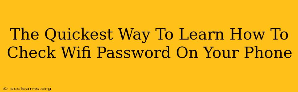 The Quickest Way To Learn How To Check Wifi Password On Your Phone