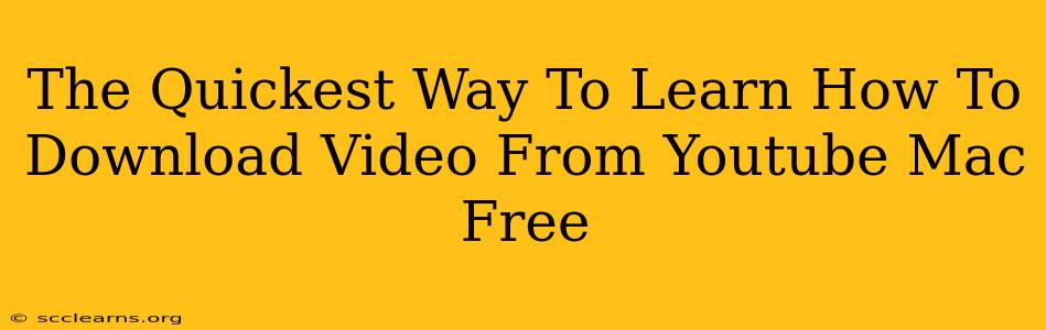 The Quickest Way To Learn How To Download Video From Youtube Mac Free