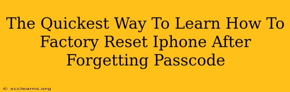 The Quickest Way To Learn How To Factory Reset Iphone After Forgetting Passcode