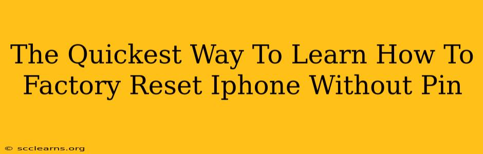 The Quickest Way To Learn How To Factory Reset Iphone Without Pin