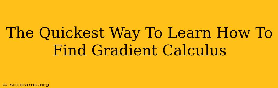 The Quickest Way To Learn How To Find Gradient Calculus