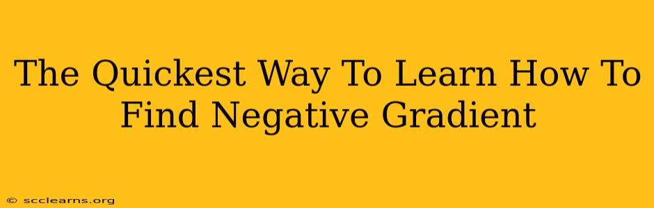 The Quickest Way To Learn How To Find Negative Gradient