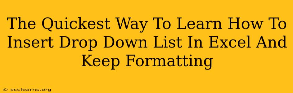 The Quickest Way To Learn How To Insert Drop Down List In Excel And Keep Formatting