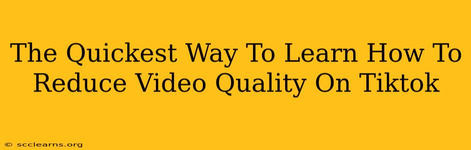 The Quickest Way To Learn How To Reduce Video Quality On Tiktok