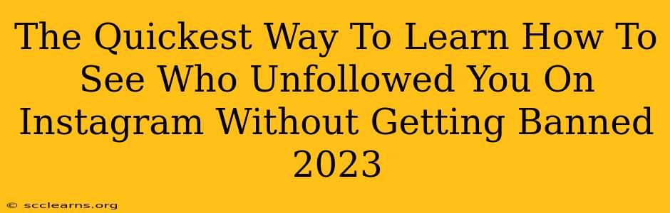 The Quickest Way To Learn How To See Who Unfollowed You On Instagram Without Getting Banned 2023