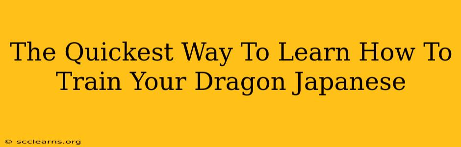 The Quickest Way To Learn How To Train Your Dragon Japanese