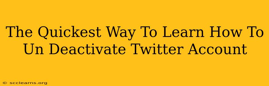 The Quickest Way To Learn How To Un Deactivate Twitter Account