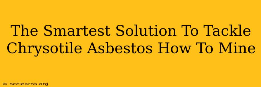 The Smartest Solution To Tackle Chrysotile Asbestos How To Mine