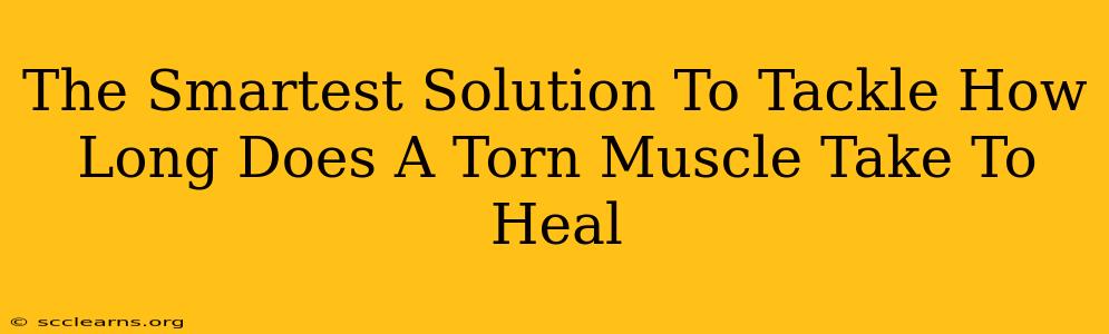 The Smartest Solution To Tackle How Long Does A Torn Muscle Take To Heal