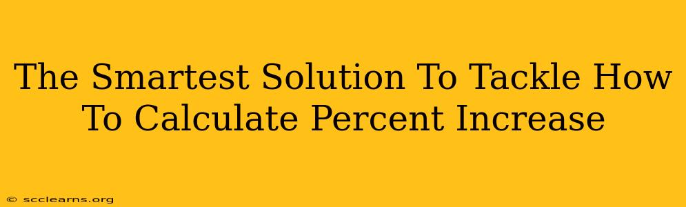 The Smartest Solution To Tackle How To Calculate Percent Increase