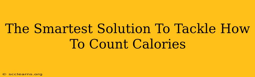 The Smartest Solution To Tackle How To Count Calories