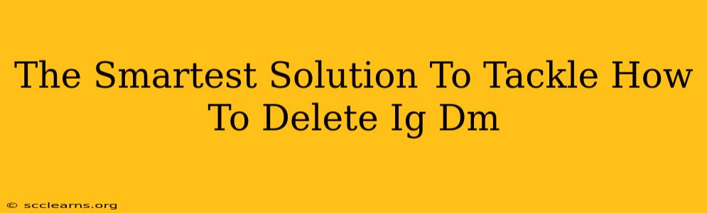 The Smartest Solution To Tackle How To Delete Ig Dm