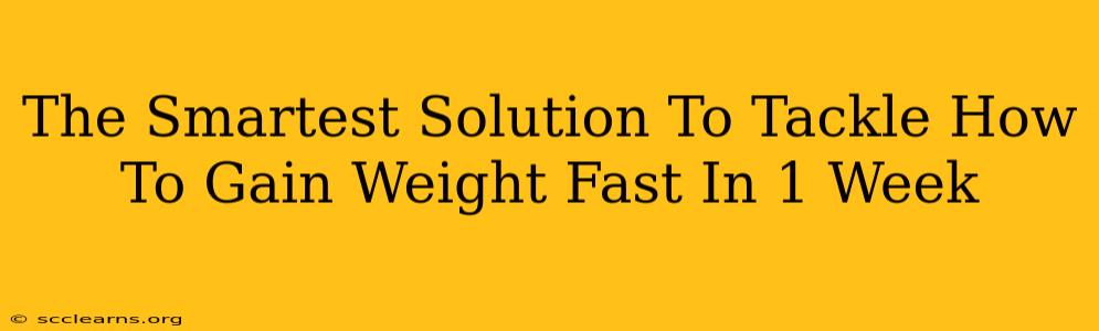 The Smartest Solution To Tackle How To Gain Weight Fast In 1 Week