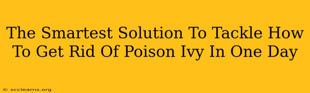 The Smartest Solution To Tackle How To Get Rid Of Poison Ivy In One Day