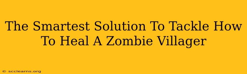 The Smartest Solution To Tackle How To Heal A Zombie Villager