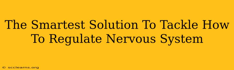 The Smartest Solution To Tackle How To Regulate Nervous System