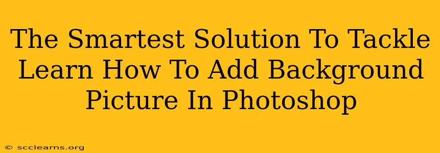 The Smartest Solution To Tackle Learn How To Add Background Picture In Photoshop