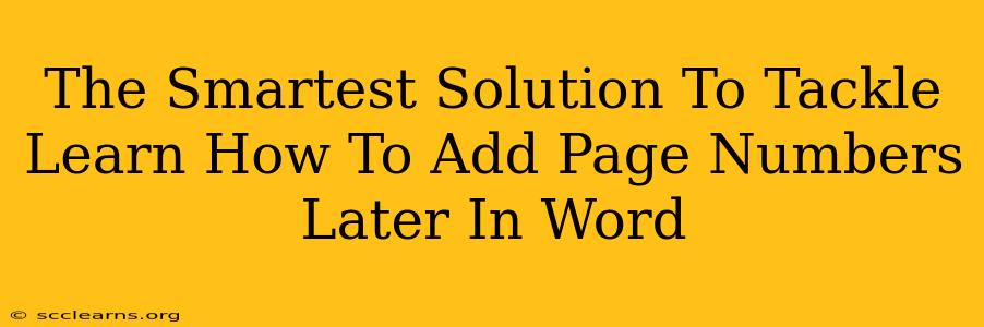 The Smartest Solution To Tackle Learn How To Add Page Numbers Later In Word