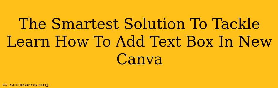 The Smartest Solution To Tackle Learn How To Add Text Box In New Canva