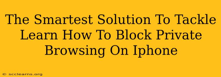 The Smartest Solution To Tackle Learn How To Block Private Browsing On Iphone