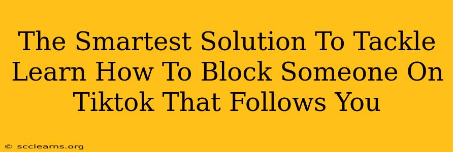 The Smartest Solution To Tackle Learn How To Block Someone On Tiktok That Follows You