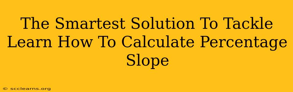 The Smartest Solution To Tackle Learn How To Calculate Percentage Slope