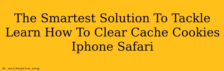 The Smartest Solution To Tackle Learn How To Clear Cache Cookies Iphone Safari