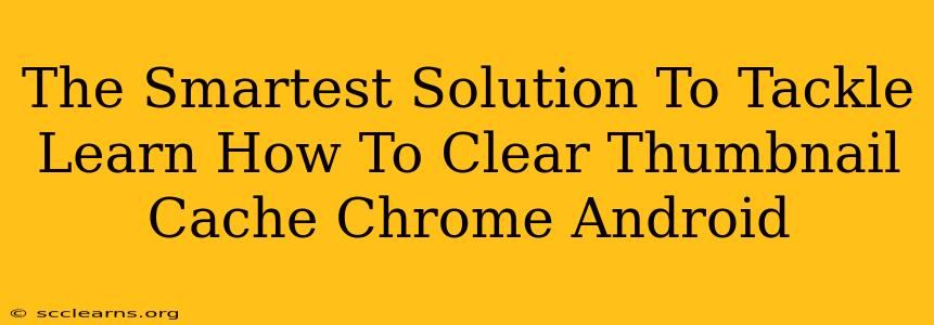 The Smartest Solution To Tackle Learn How To Clear Thumbnail Cache Chrome Android