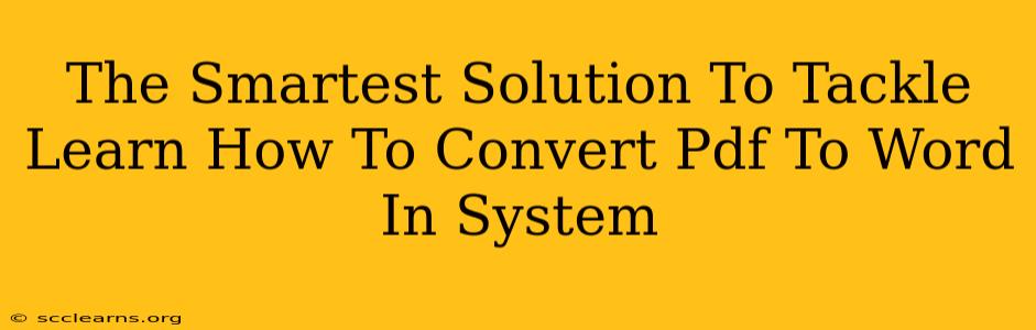 The Smartest Solution To Tackle Learn How To Convert Pdf To Word In System