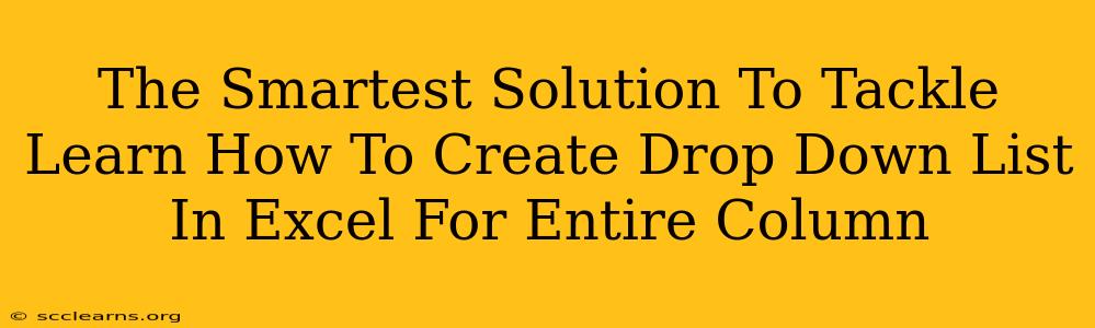 The Smartest Solution To Tackle Learn How To Create Drop Down List In Excel For Entire Column