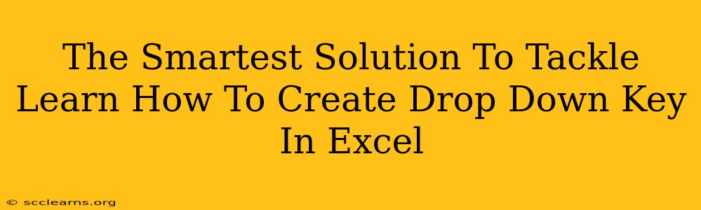 The Smartest Solution To Tackle Learn How To Create Drop Down Key In Excel