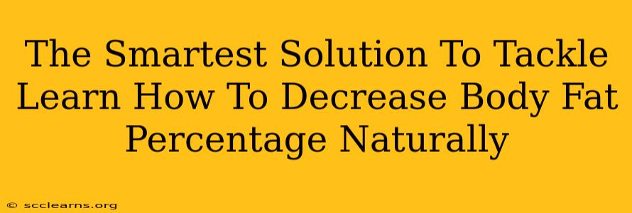 The Smartest Solution To Tackle Learn How To Decrease Body Fat Percentage Naturally