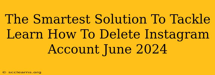 The Smartest Solution To Tackle Learn How To Delete Instagram Account June 2024