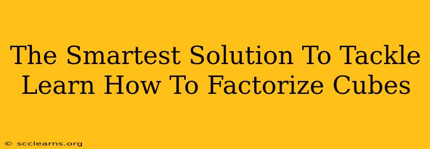 The Smartest Solution To Tackle Learn How To Factorize Cubes