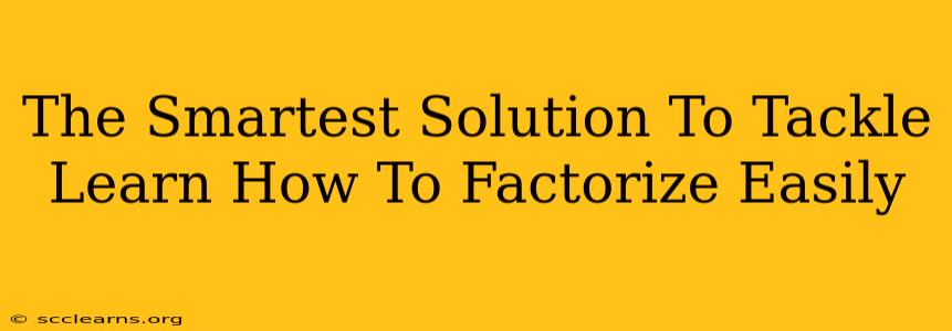 The Smartest Solution To Tackle Learn How To Factorize Easily