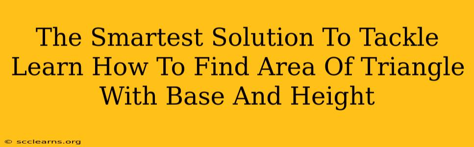 The Smartest Solution To Tackle Learn How To Find Area Of Triangle With Base And Height