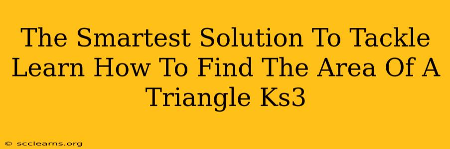 The Smartest Solution To Tackle Learn How To Find The Area Of A Triangle Ks3