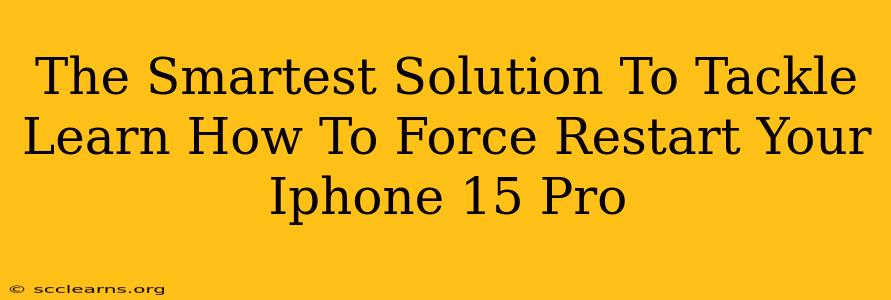 The Smartest Solution To Tackle Learn How To Force Restart Your Iphone 15 Pro