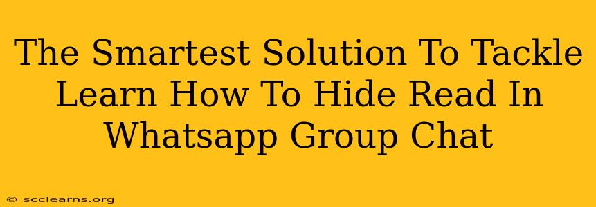 The Smartest Solution To Tackle Learn How To Hide Read In Whatsapp Group Chat