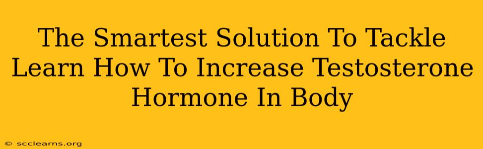 The Smartest Solution To Tackle Learn How To Increase Testosterone Hormone In Body