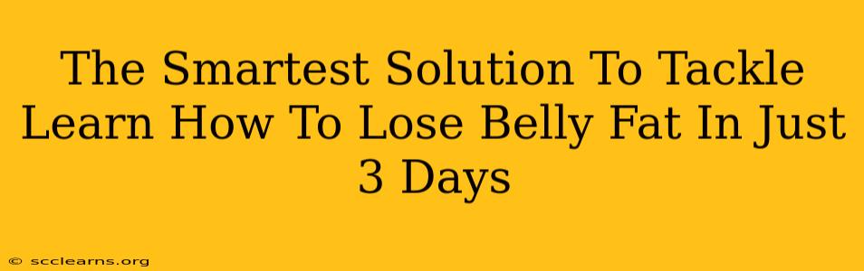 The Smartest Solution To Tackle Learn How To Lose Belly Fat In Just 3 Days