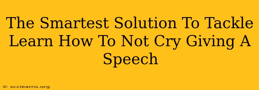 The Smartest Solution To Tackle Learn How To Not Cry Giving A Speech