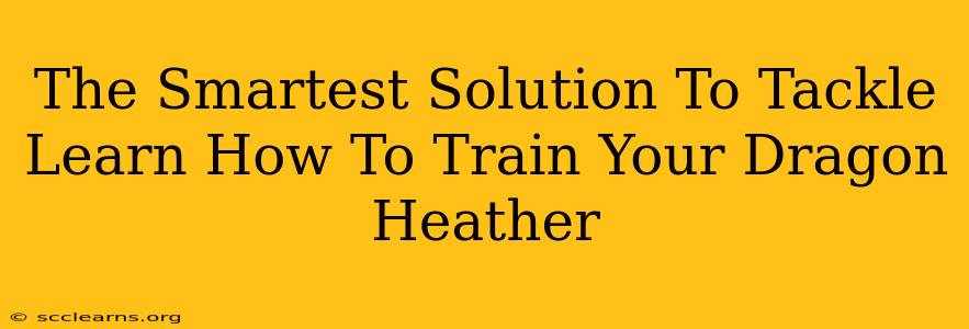 The Smartest Solution To Tackle Learn How To Train Your Dragon Heather