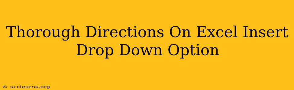 Thorough Directions On Excel Insert Drop Down Option