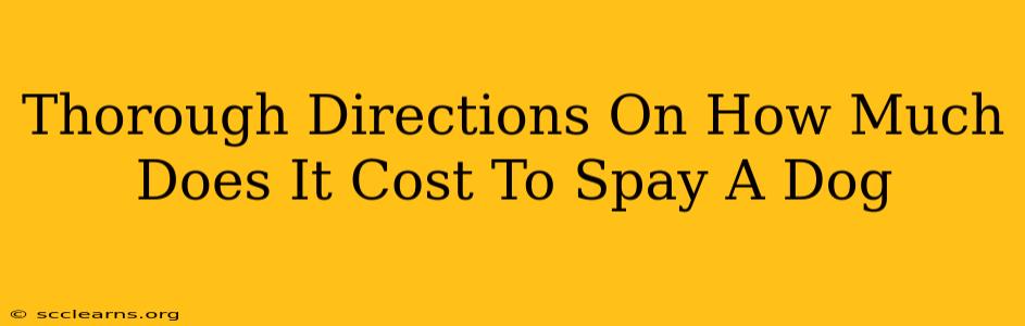 Thorough Directions On How Much Does It Cost To Spay A Dog