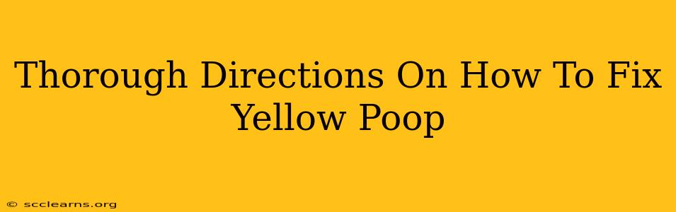 Thorough Directions On How To Fix Yellow Poop