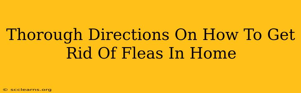 Thorough Directions On How To Get Rid Of Fleas In Home